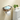 Woodline - Toilettenpapierhalter